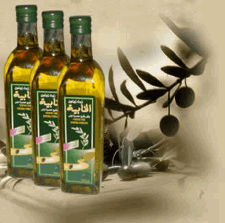 Huiles d'olives EL KHABIA