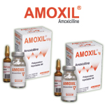 Mdicaments: Injectables poudres AMOXIL