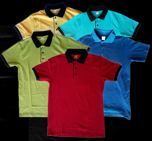 Tee shirt polo 2 couleurs