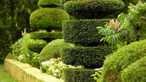 Travaux de jardinage et entretien des espaces vertes