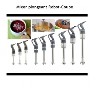 MIXER PLONGEANT - ROBOT COUPE