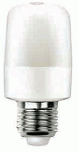 LED Globe : (87Φ43mm)