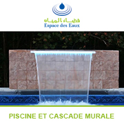 1803_piscine_et_cascade_murale.jpg